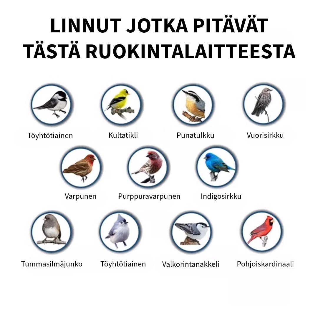 Oravankestävä Linnunruokinta-automaatti