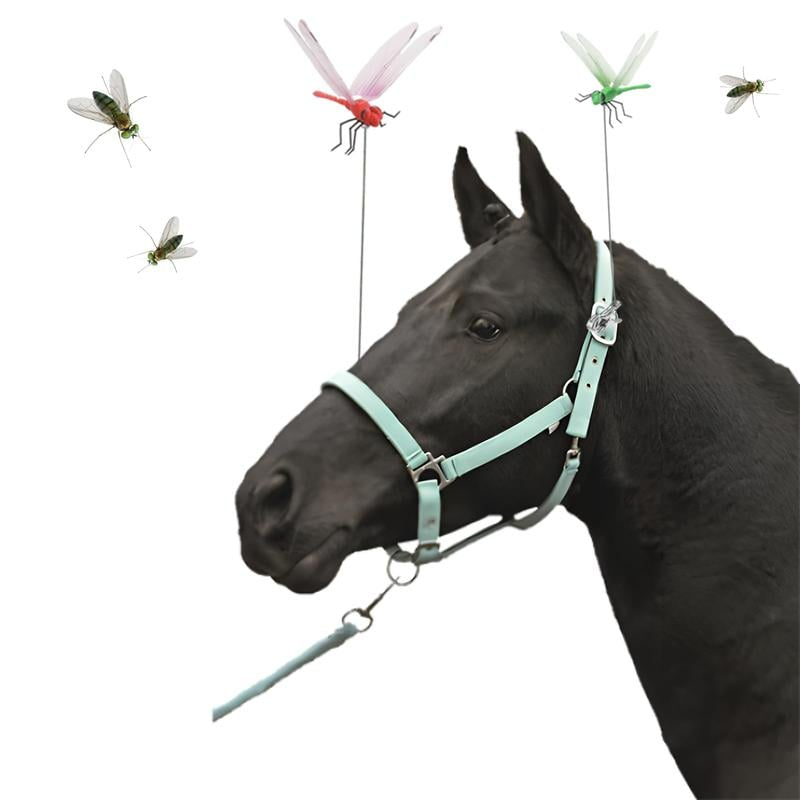 Tyylikäs Sudenkorento Hyttyskarkotin