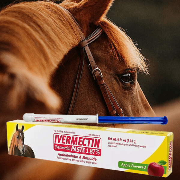 Ivermektiinipasta hevosille
