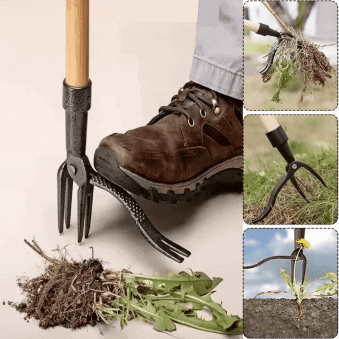 Ammattimainen Rikkaruohonpoistaja